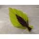 Serviette Feuille de palme